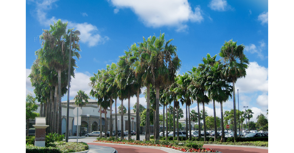 retail complex with many palm trees